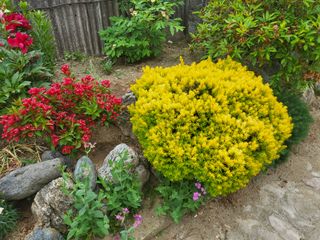 김옥균 님의 자유주제 · 자유게시판 작성글 사진