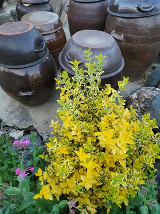 김옥균 님의 자유주제 · 자유게시판 작성글 사진