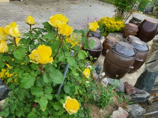 김옥균 님의 자유주제 · 자유게시판 작성글 사진
