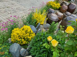 김옥균 님의 자유주제 · 자유게시판 작성글 사진