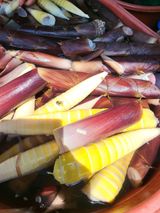 팜모닝 · 게시글 이미지