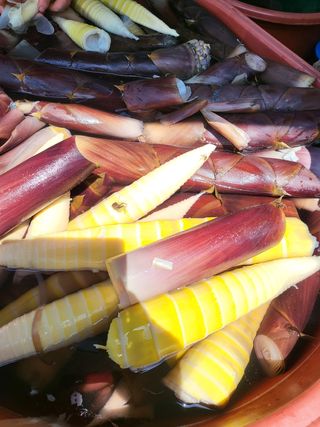 허미숙님의 작성글 사진