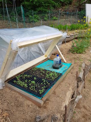 담디농원님의 자유주제 · 자유게시판 작성글 사진