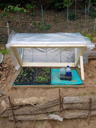 담디농원님의 자유주제 · 자유게시판 작성글 사진