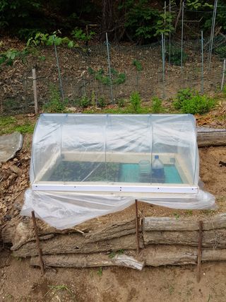 담디농원님의 자유주제 · 자유게시판 작성글 사진