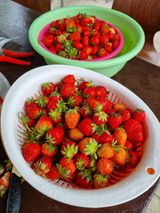 팜모닝 감·자유게시판 게시글 이미지