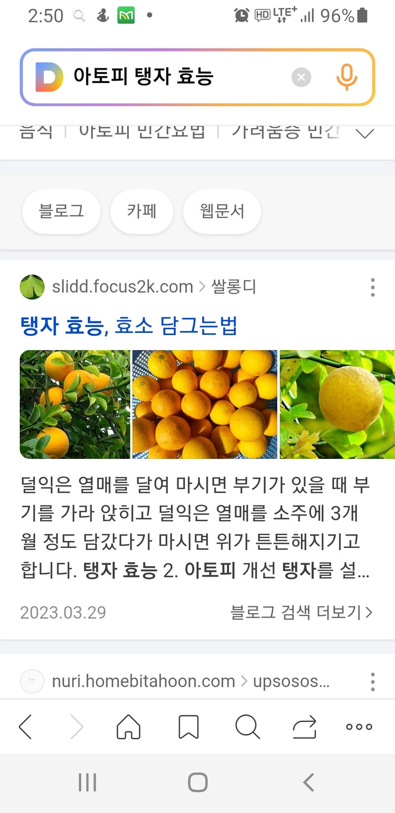 장터 상품 [탱자효소 2리터] 썸네일