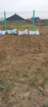 팜모닝 콩·자유게시판 게시글 이미지