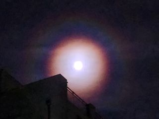 댕이골표영환님의 자유주제 · 사진전 작성글 사진