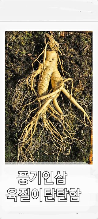 알 수 없음님의 자유주제 · 사진전 작성글 사진