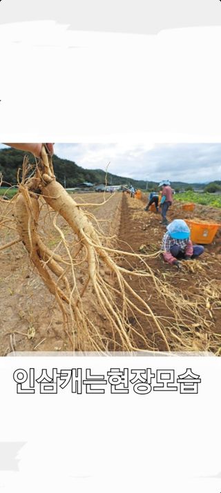 알 수 없음님의 자유주제 · 사진전 작성글 사진