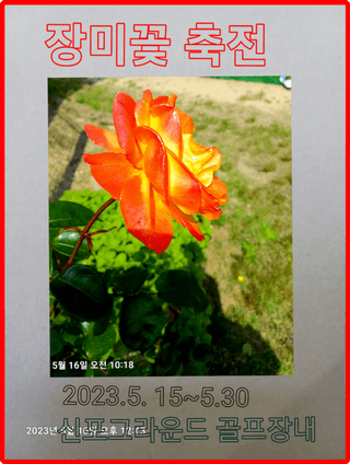 조준제님의 벼 · 자유게시판 작성글 사진