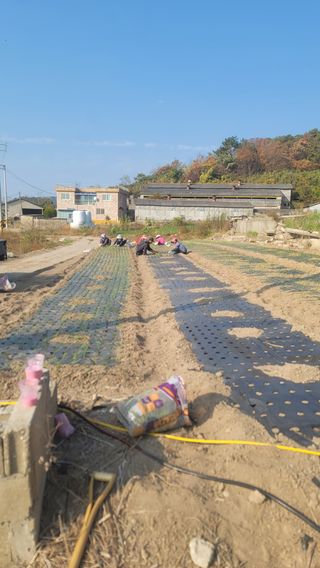 박정석님의 우리동네 · 동네자랑 작성글 사진