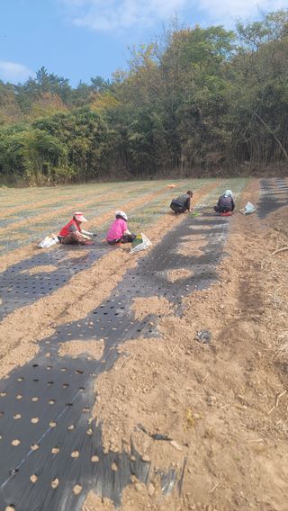 박정석님의 우리동네 · 동네자랑 작성글 사진