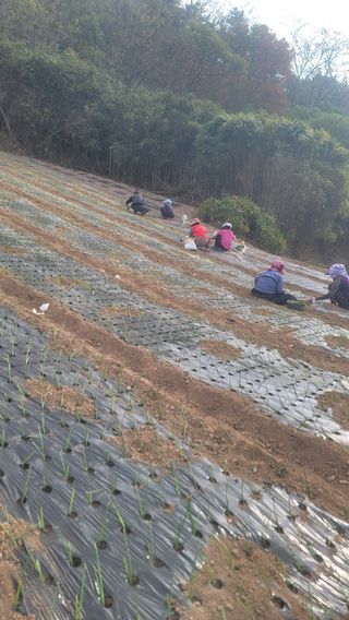 박정석님의 우리동네 · 동네자랑 작성글 사진