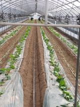 팜모닝 자유주제·사진전 게시글 이미지