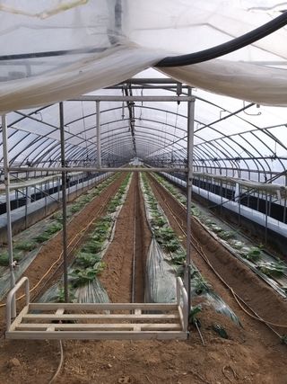 알 수 없음님의 자유주제 · 사진전 작성글 사진