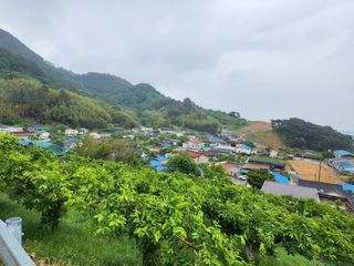 장영환 님의 우리동네 · 동네자랑 작성글 사진