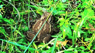 이동걸님의 자유주제 · 사진전 작성글 사진