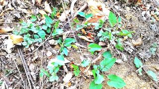 이동걸님의 자유주제 · 사진전 작성글 사진