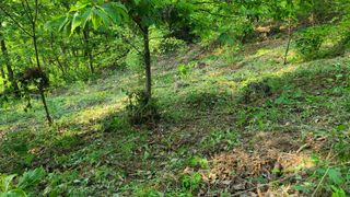 이동걸님의 자유주제 · 사진전 작성글 사진