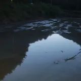 팜모닝 벼·자유게시판 게시글 이미지