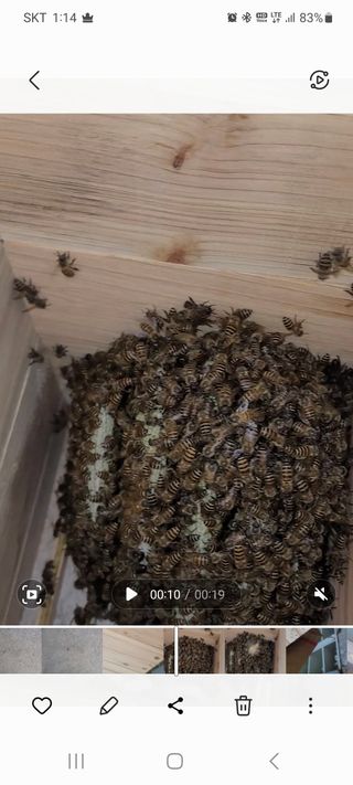 김동철님의 벼 · 자유게시판 작성글 사진