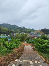 팜모닝 자유주제·사진전 게시글 이미지