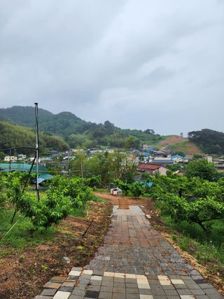 장영환 님의 자유주제 · 사진전 작성글 사진
