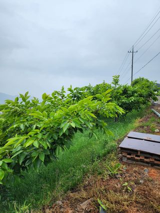 장영환 님의 자유주제 · 사진전 작성글 사진