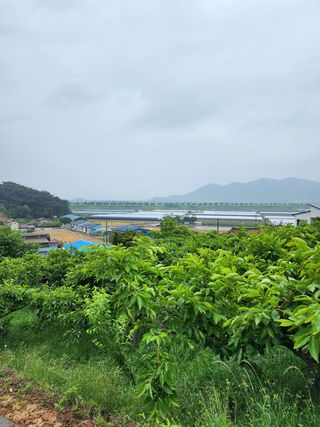 장영환 님의 자유주제 · 사진전 작성글 사진