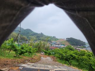 장영환 님의 자유주제 · 사진전 작성글 사진