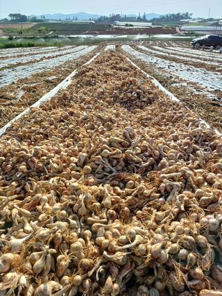 결단이님의 기타작물 · 자유게시판 작성글 사진