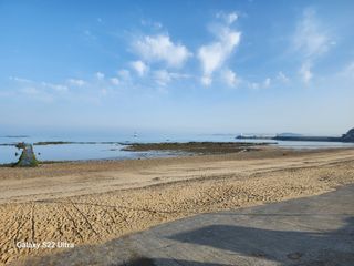 조재영님의 자유주제 · 사진전 작성글 사진