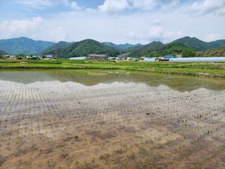 농부 임성훈님의 자유주제 · 사진전 작성글 사진