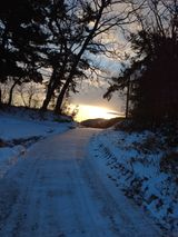 팜모닝 자유주제·사진전 게시글 이미지