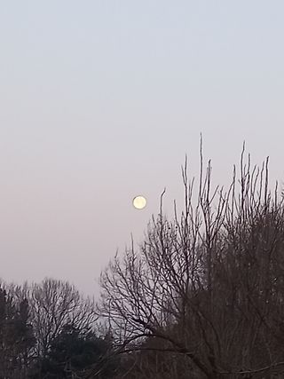 손천영님의 자유주제 · 사진전 작성글 사진