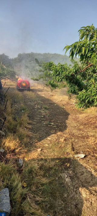 강성분님의 자유주제 · 사진전 작성글 사진