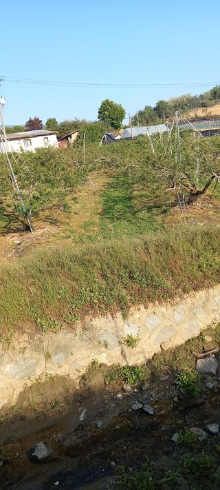 강성분님의 자유주제 · 사진전 작성글 사진