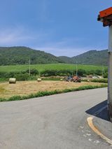 팜모닝 자유주제·사진전 게시글 이미지