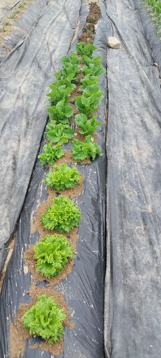 박명호님의 자유주제 · 자유게시판 작성글 사진