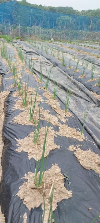 박명호님의 자유주제 · 자유게시판 작성글 사진