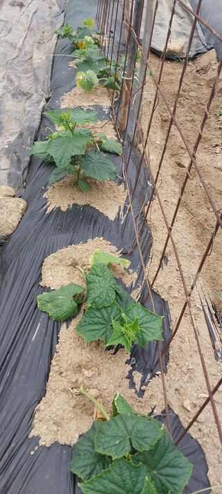 박명호님의 자유주제 · 자유게시판 작성글 사진