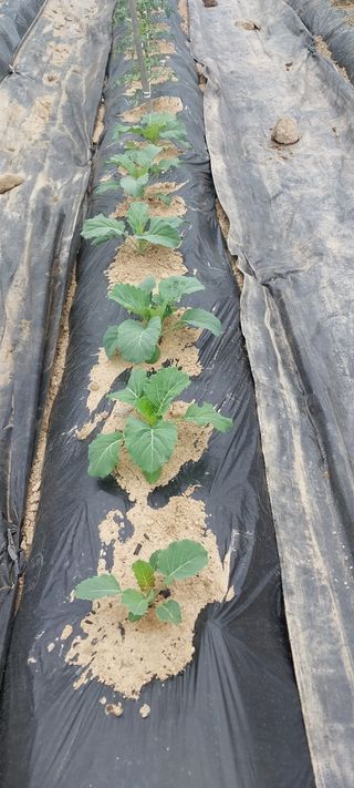 박명호님의 자유주제 · 자유게시판 작성글 사진