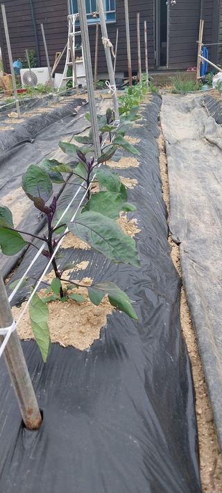 박명호님의 자유주제 · 자유게시판 작성글 사진