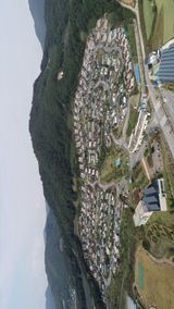 팜모닝 자유주제·사진전 게시글 이미지