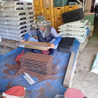 봉골농장님의 기타작물 · 자유게시판 작성글 사진