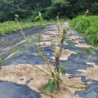 이종권님의 기타작물 · 자유게시판 작성글 사진