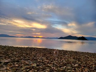 조은정님의 자유주제 · 사진전 작성글 사진