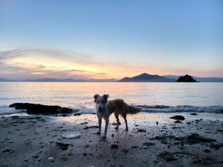 조은정님의 자유주제 · 사진전 작성글 사진